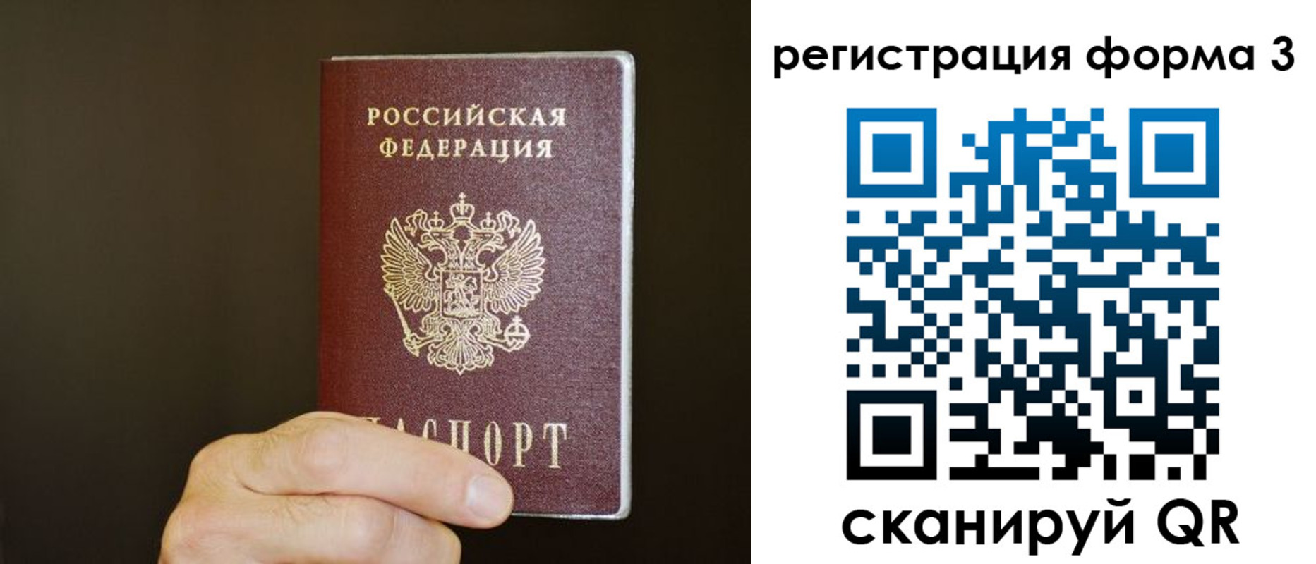 где прописаться в Курской области