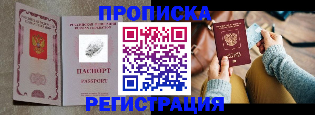 прописка поиск в Курской области